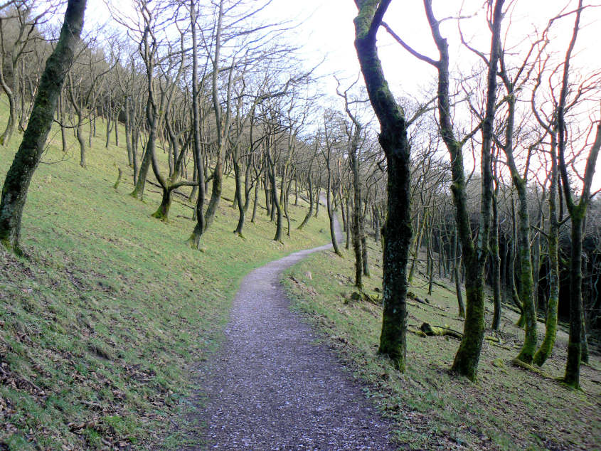Macclesfield Forest Macclesfield Forest